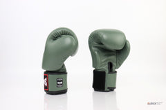Twins Special [BGVL-3] Muay Thai Boxing Gloves