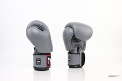 Twins Special [BGVL-3] Muay Thai Boxing Gloves