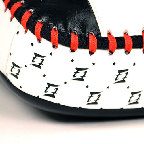 Fairtex [KPLC2] Curved Kick Pads