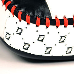 Fairtex [KPLC2] Curved Kick Pads