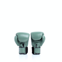 Twins Special [BGVL-3] Muay Thai Boxing Gloves