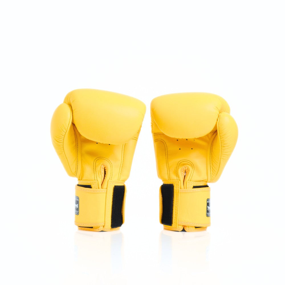 Twins Special [BGVL-3] Muay Thai Boxing Gloves