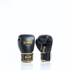 Windy [BGVH] Muay Thai Gloves Black/Gold