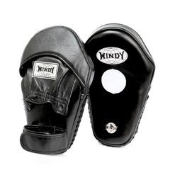 Windy PP-5 Hybrid Focus Mitts