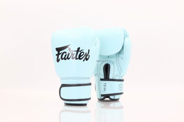 Fairtex [BGV20] Pastel Blue Boxing Gloves