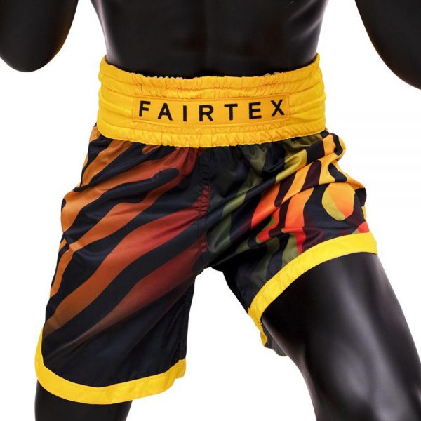 Fairtex Shorts [BT2002]