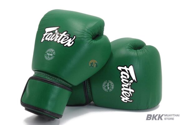 Fairtex [BGV16] Compact Green Gloves