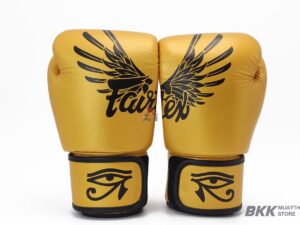 Fairtex [BGV1] Falcon Gloves