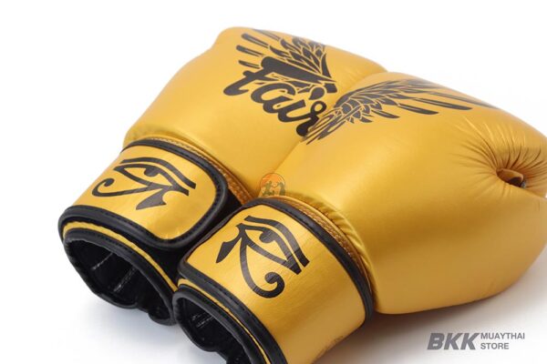 Fairtex [BGV1] Falcon Special Edition Boxing Gloves