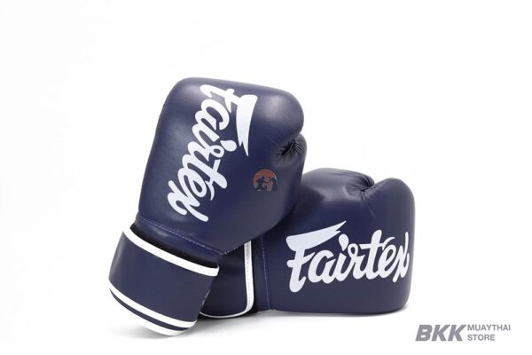 Fairtex [BGV14] Gloves Blue