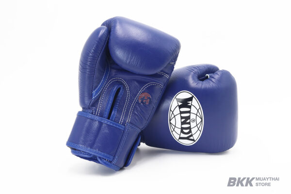 Windy [BGVH] Gloves Blue