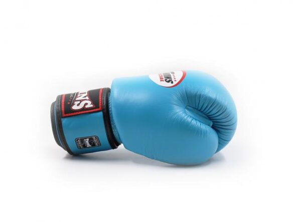 Twins Special [BGVL-3] Boxing Gloves Light Blue