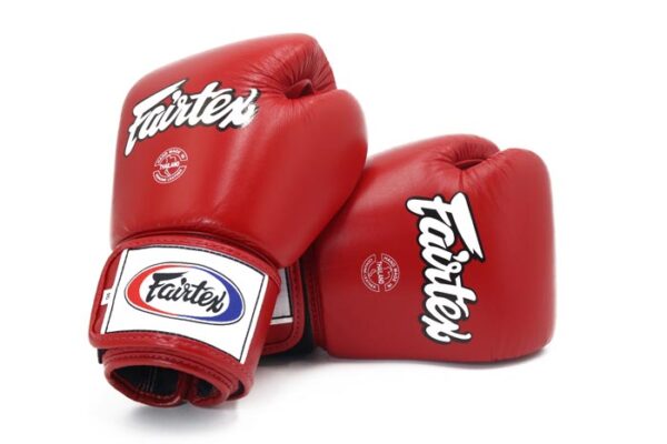 Fairtex Boxing Gloves Model BGV1-R