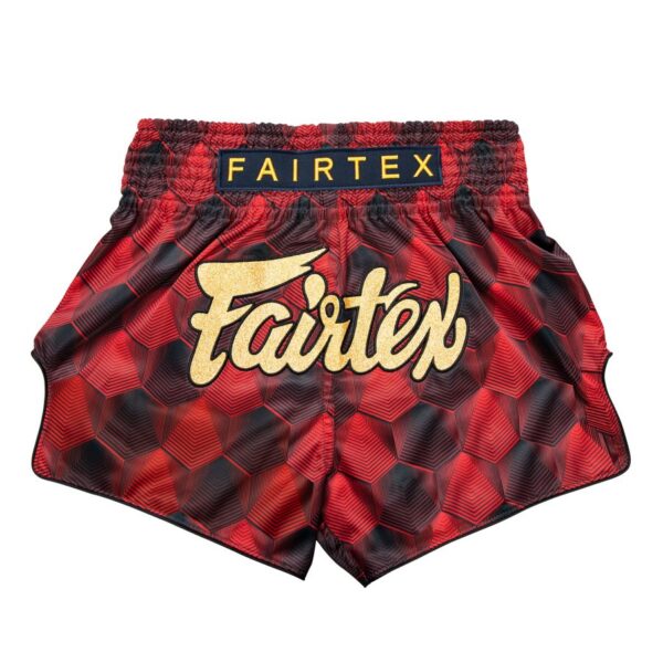 Fairtex Shorts [BS1919]