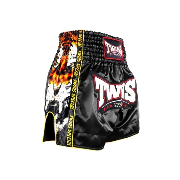 Twins Special "NEW PAYAK" Muay Thai Shorts